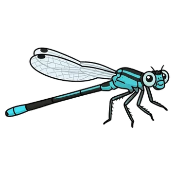 Sticker of Western forktail