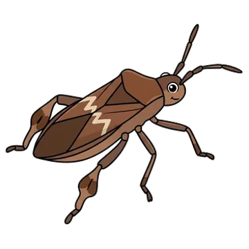 Sticker of Western leaf-footed bug