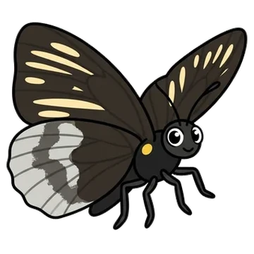 Sticker of White-rayed patch