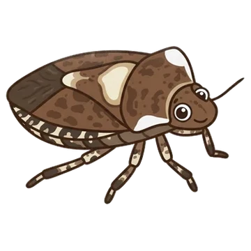 Sticker of White-shouldered shieldbug