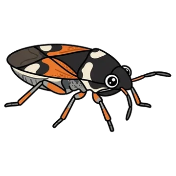 Sticker of White-spotted groundbug