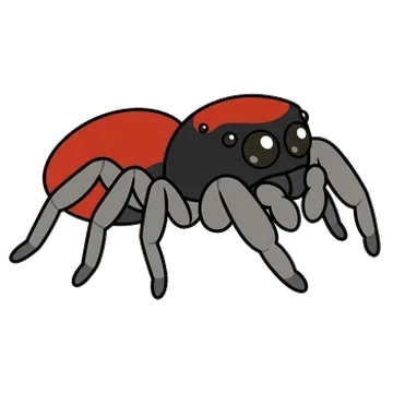 Sticker of Whitman's jumping spider