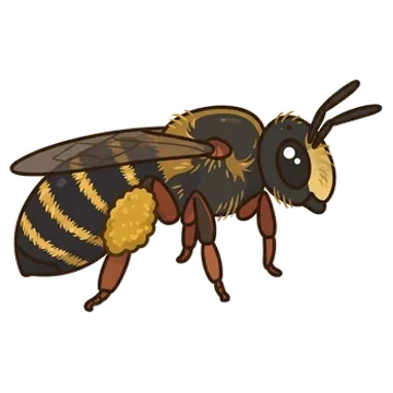 Sticker of Wilke's mining bee