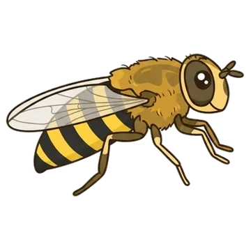 Sticker of Yellow-legged flower fly