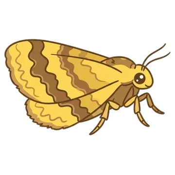 Sticker of Yellow shell moth