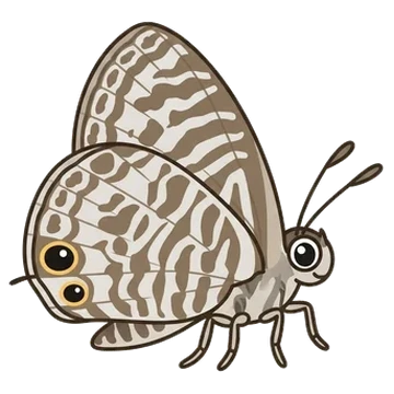 Sticker of Zebra blue
