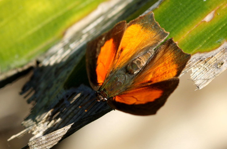 Photo of Angled sunbeam