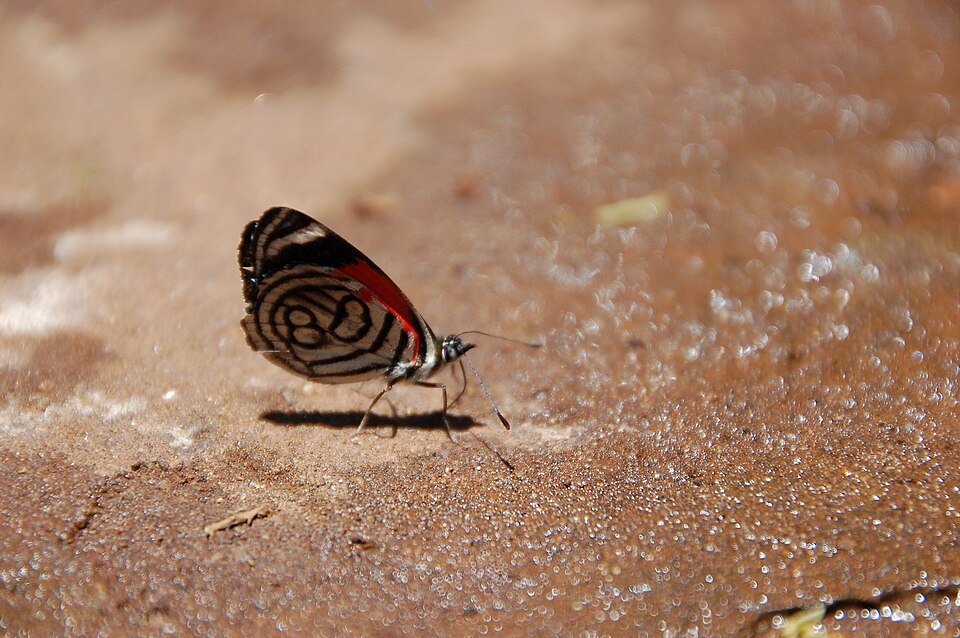 Photo of Number eighty