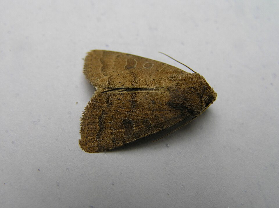 Photo of The uncertain